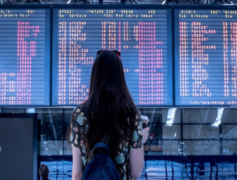 Study / Travel Abroad​